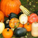 ID-1008597